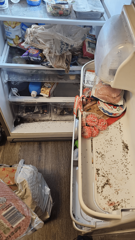 Before Inside Fridge